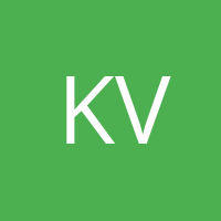 Kim Vijayvergiyastein