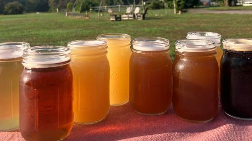 Maple View Farm